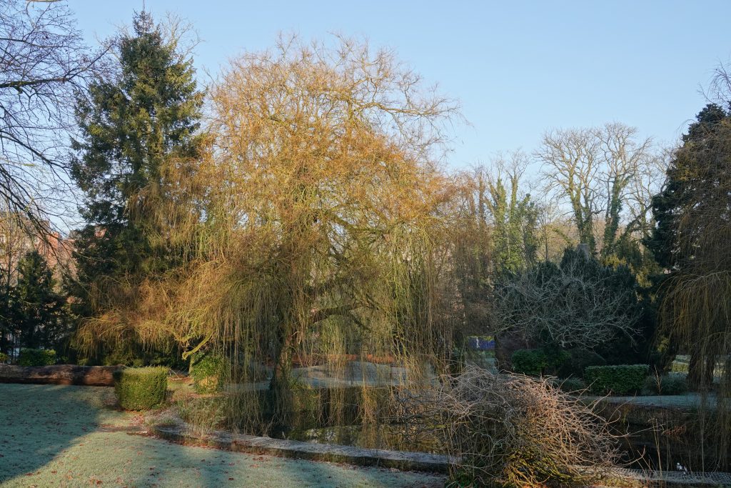 Parc Fénelon à Le Cateau-Cambrésis