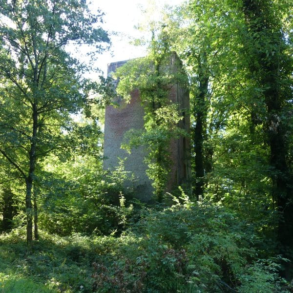Tours de Guet de Bois-l'Évêque